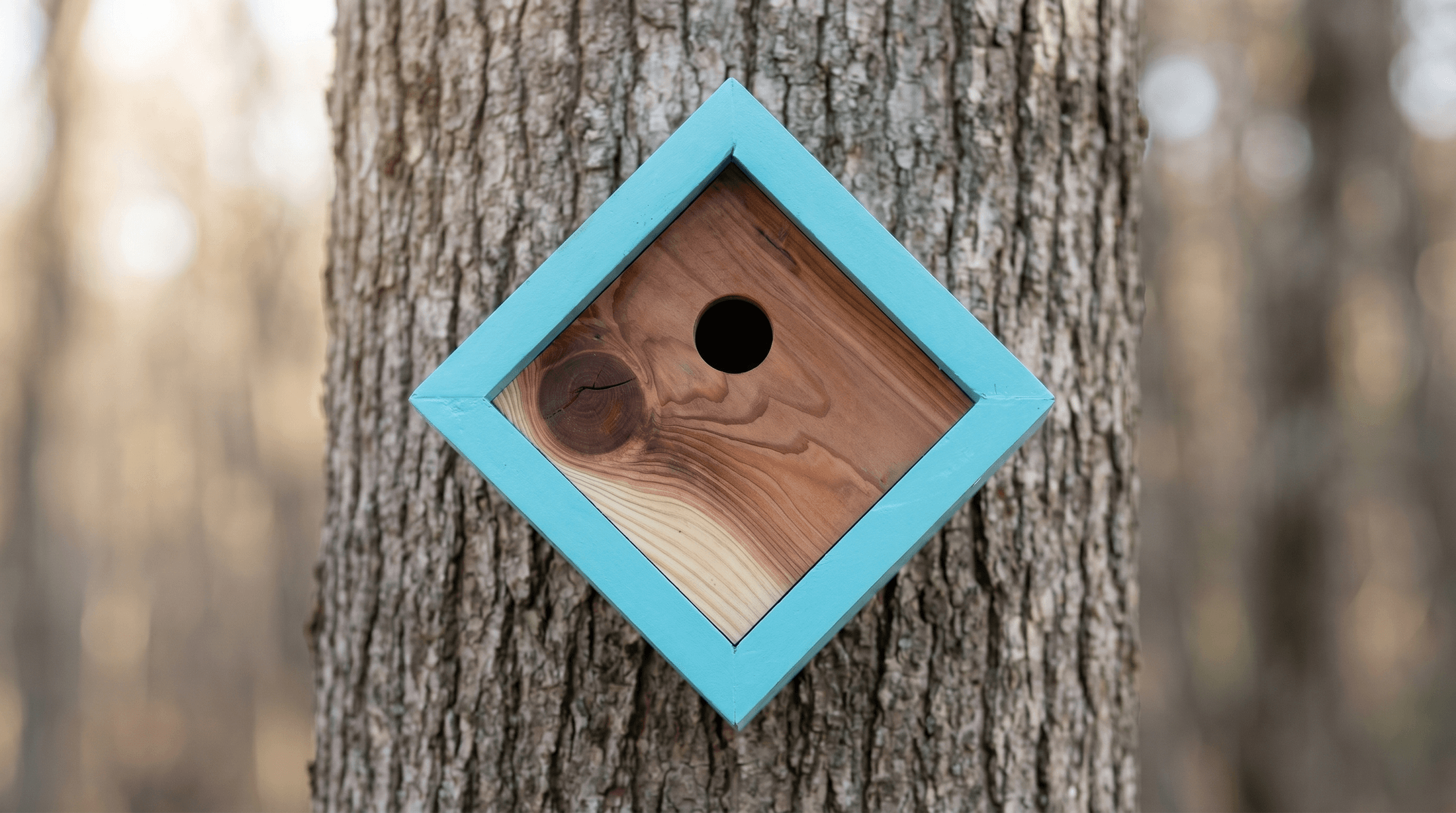 Birdhouse Turquoise Diamond Frame